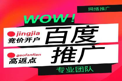 百度知识营销的运营推广策略