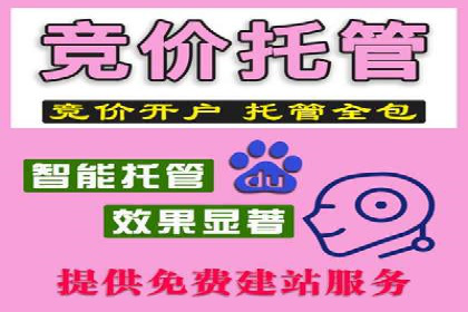 精准投放，信息流广告的秘诀：某电商平台的实战经验